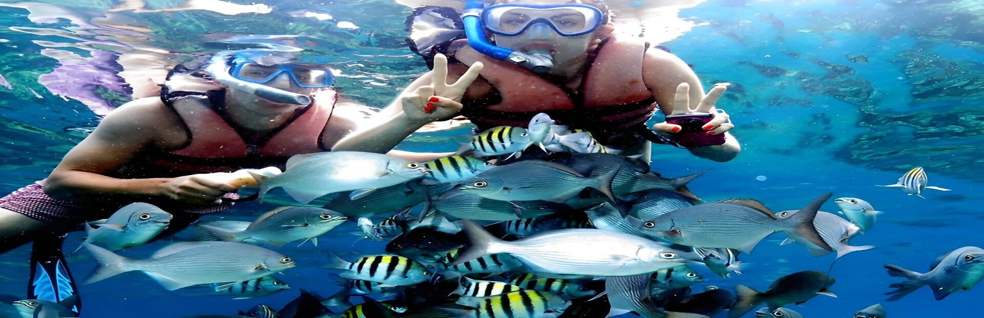 Snorkeling, Varadero, Cuba